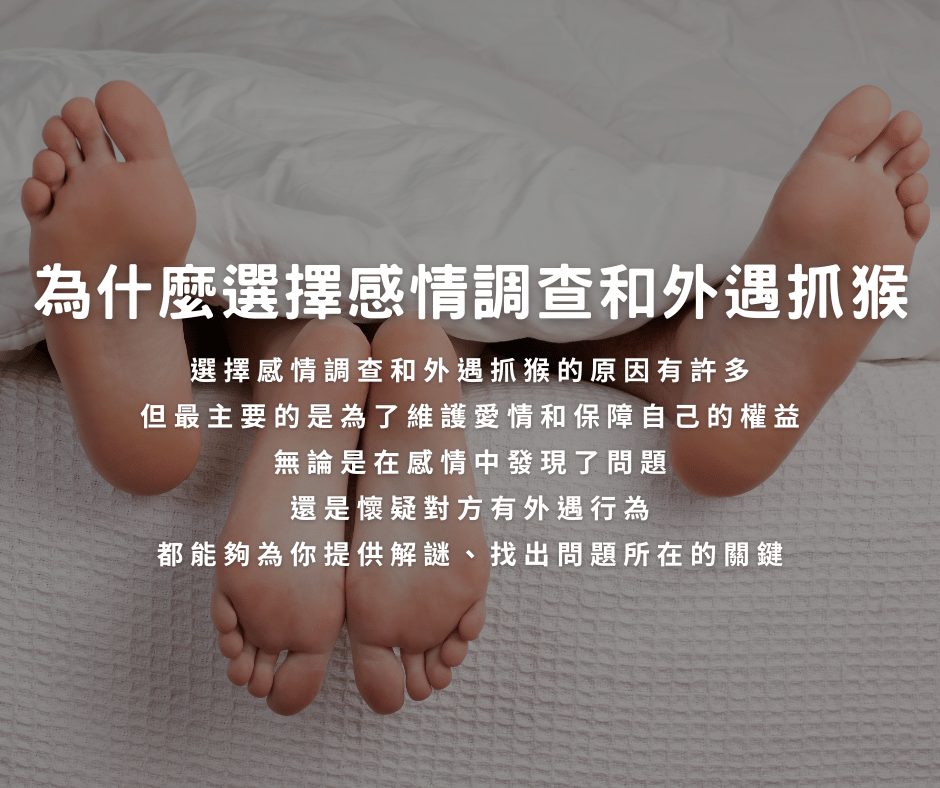 感情調查和外遇抓猴